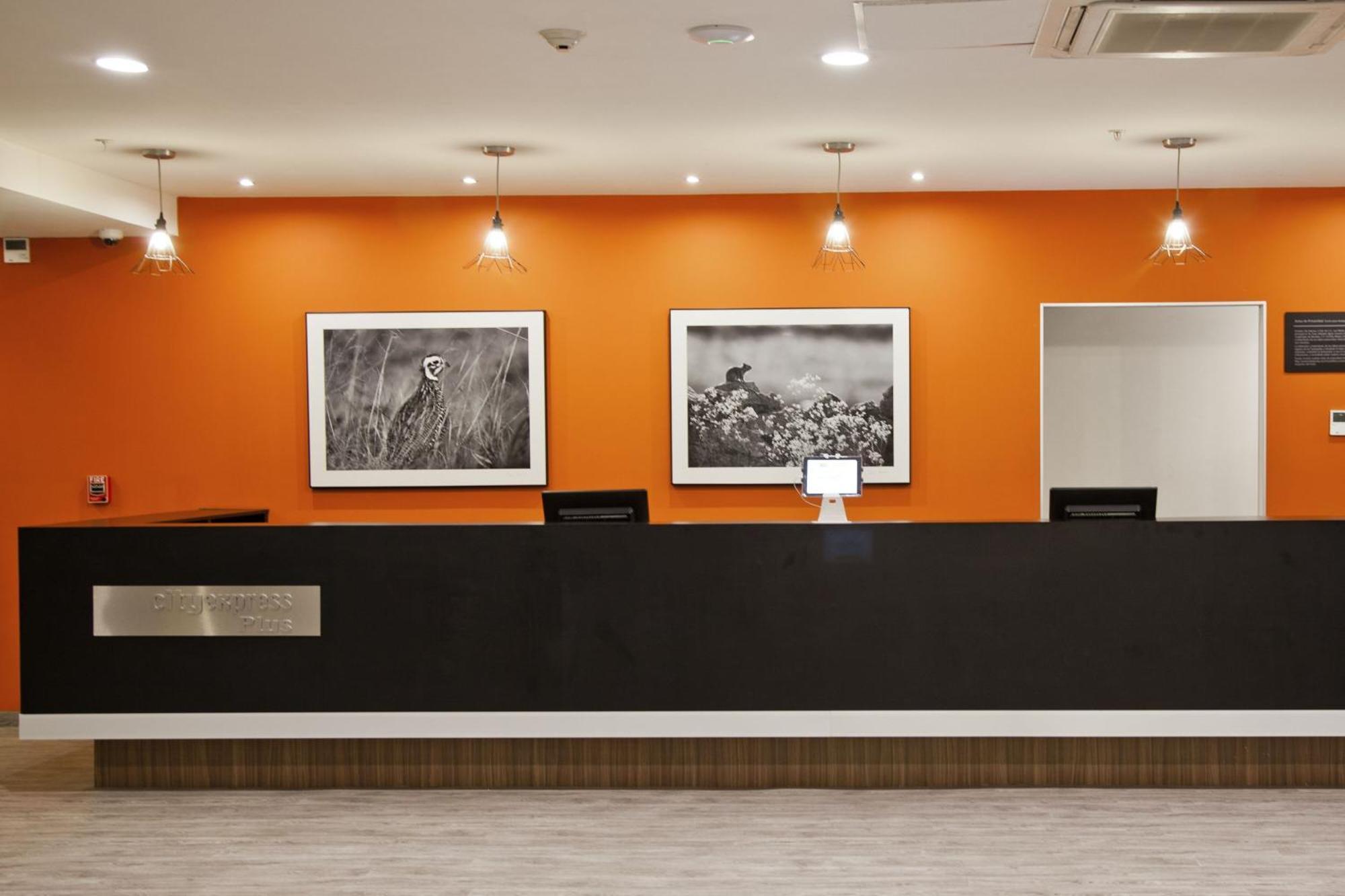 City Express Plus By Marriott Monterrey Nuevo Sur Kültér fotó